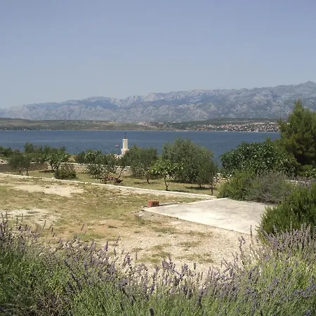 Mikecin * Novigrad (Dalmatia)