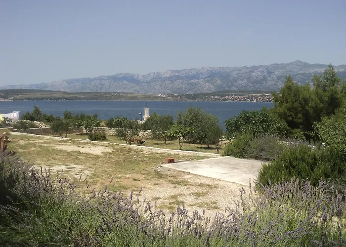 Mikecin * Novigrad (Dalmatia)